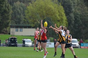 Four teams of Healesville are in action for finals