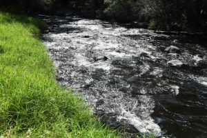 How to know when it’s safe to swim in the Yarra River