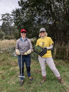 CEO plant out unites local executives for a cause