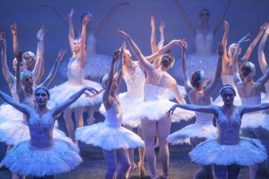 Swan Lake in Healesville