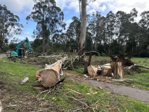 Strong wind swept across the Yarra Valley