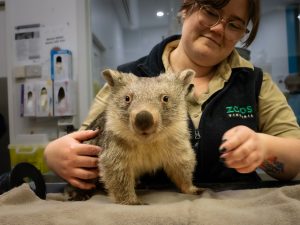Saving the natural world – one life at a time