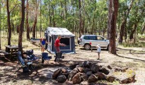Experience the beauty of nature with free camping