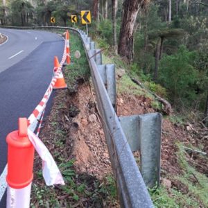 Tree removal work on Myers Creek Road, Healesville