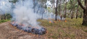 Glen Drive planned burn completed