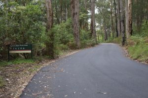 Road rehabilitation for Yarra Valley parks is in the process