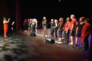 Want to be part of Connecting Community Festival?