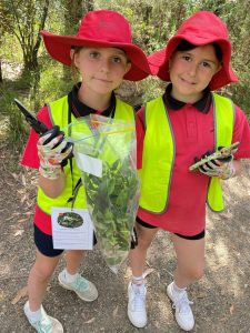 Learning science in local environment