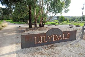 Delays on Yarra Valley Trail