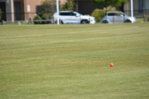 Four wins out of five Healesville senior cricket teams