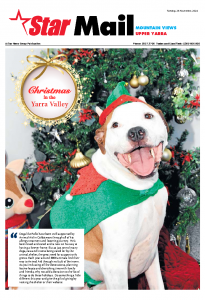Mail – Mountain Views Star Mail – 26th November 2024
