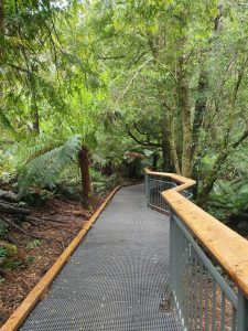Wirrawilla Rainforest Walk for everyone