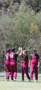 Yarra Glen cricket teams doing their best to secure the finals tickets