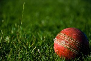 Hamer makes 53 in 1st XI victory for Healesville