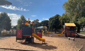 Blue Gum Reserve new playground opening