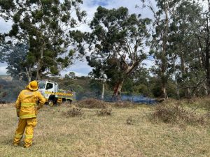 Busy day for local emergency services