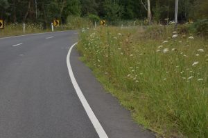 Why is the local road always put on the back burner for roadside slashing?
