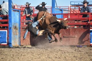 Rodeo concern