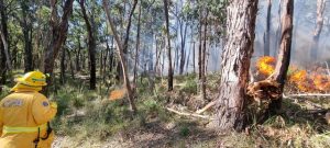 Heads up for two planned burns in Marysville