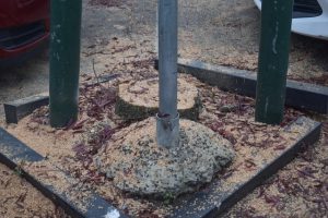 Trees will be replanted at Healesville Coles car park