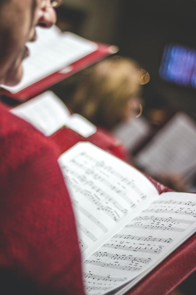 musicgen_342155_01.jpg