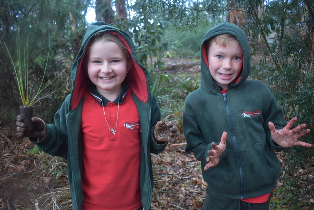 Healesville Primary students plant the love for the community in their heart