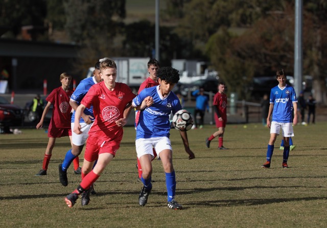 Winner’s circle for Healesville soccer seniors and juniors