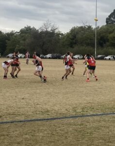 River Pigs down in the wind