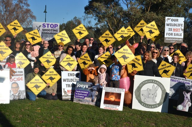 Residents rally for the roos