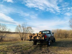 Firewood collection areas open for spring