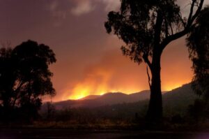 New research finds costlier, deadlier fires becoming more common