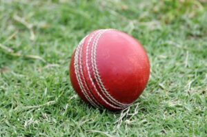 Early pressure sees Healesville score victories