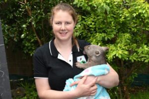 Wildlife carer echoes calls