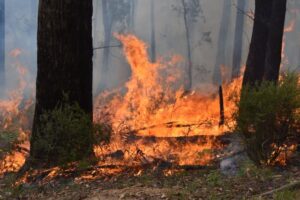 Preparing the Ranges for bushfire season