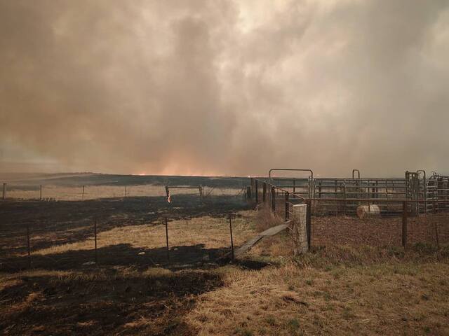 Healesville truck back intact