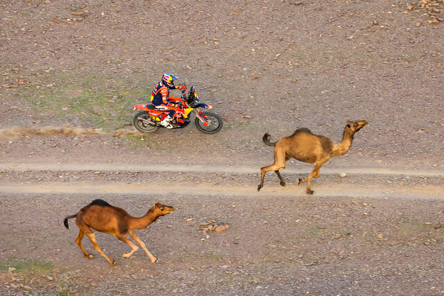 Sanders holds firm after time penalty